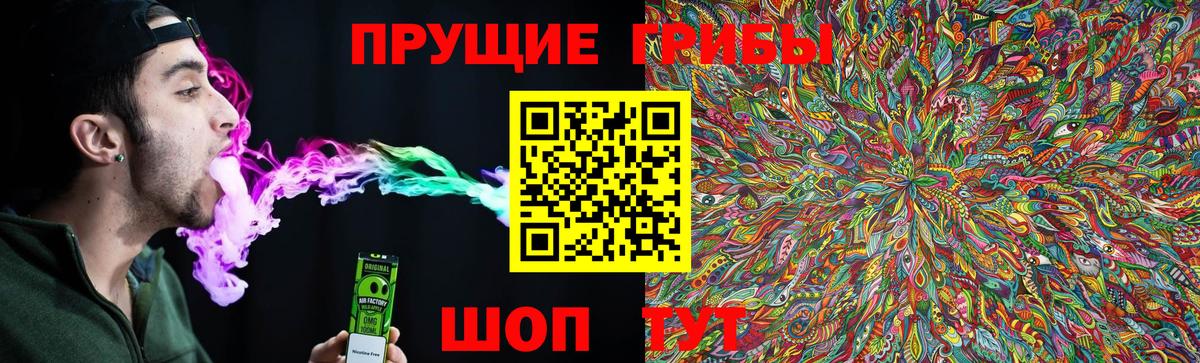 Псков  Галлюциногенные грибы прущие грибы  Вход с VPN 